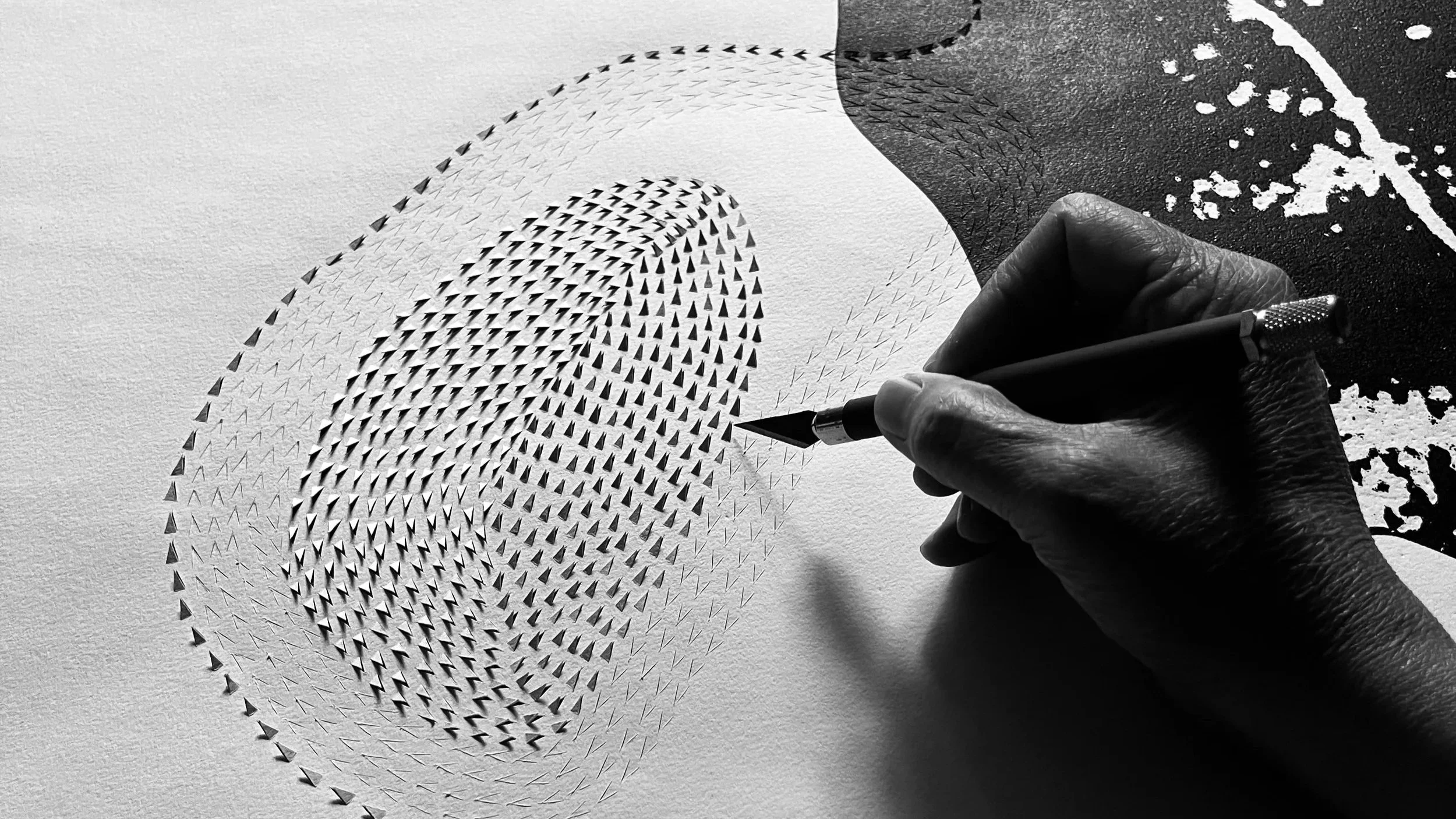 ARTIST IN RESIDENCE | SHIFTING FIELDS