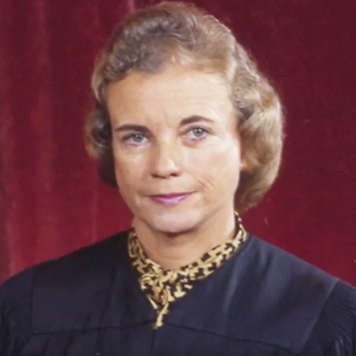 Her+Career+in+Law.png