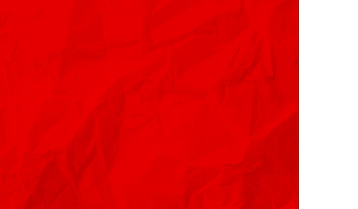 313y_Website_STDR_175th_Anniversary.gif