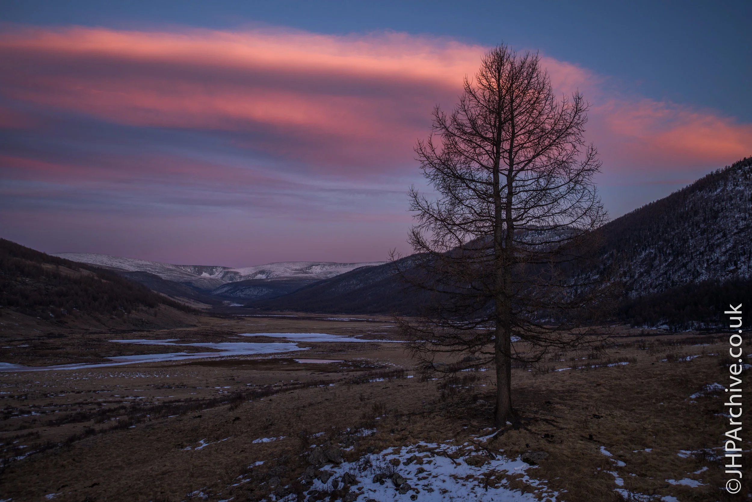 Website_Landscape_©JHPARCHIVE-6530.jpg