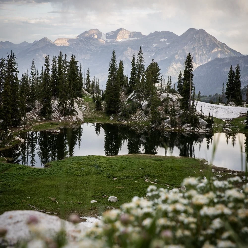 I love the late evening when everything but the birds and the crickets holds still. ⠀
⠀
⠀
#utah #timpanogos #alpinelake #lonepeakwilderness #utahphotographer #utahisrad #utahgram #utahillustrated #utahphotography #utahunique #utahisbeautiful #utahlif