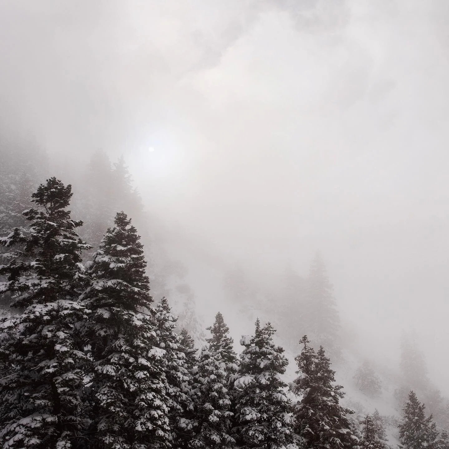 It&rsquo;s been a week to remember. It started out with a quiet hike through some snowy mountains. Beautiful and peaceful. The very next day I cut off the tip of my thumb. Six stitches later my thumb is a little shorter than it used to be 👍🏼 ⠀
⠀
#u