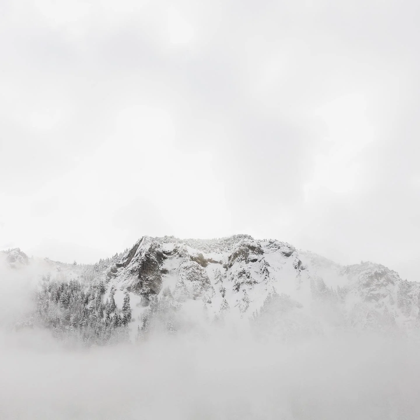 Cloudy, snowy mountains ☁️❄️🗻 ⠀
⠀
#mountains #utahmountains #utahvalley #utah #utahphotographer #utahisrad #utahgram #utahphotography #utahunique #winter #cloudymountains #lifeelevated #utahlife #snow