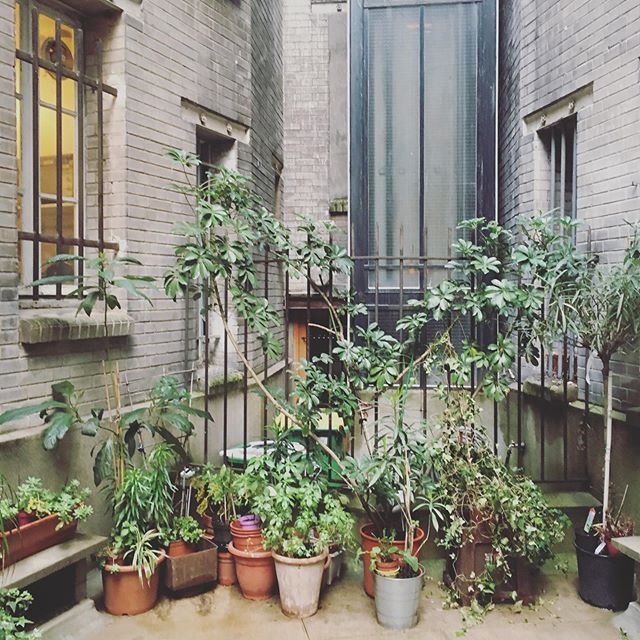 Les cours parisiennes 🦚🌿😍 #paris #parisienne #may #whattodoinparis