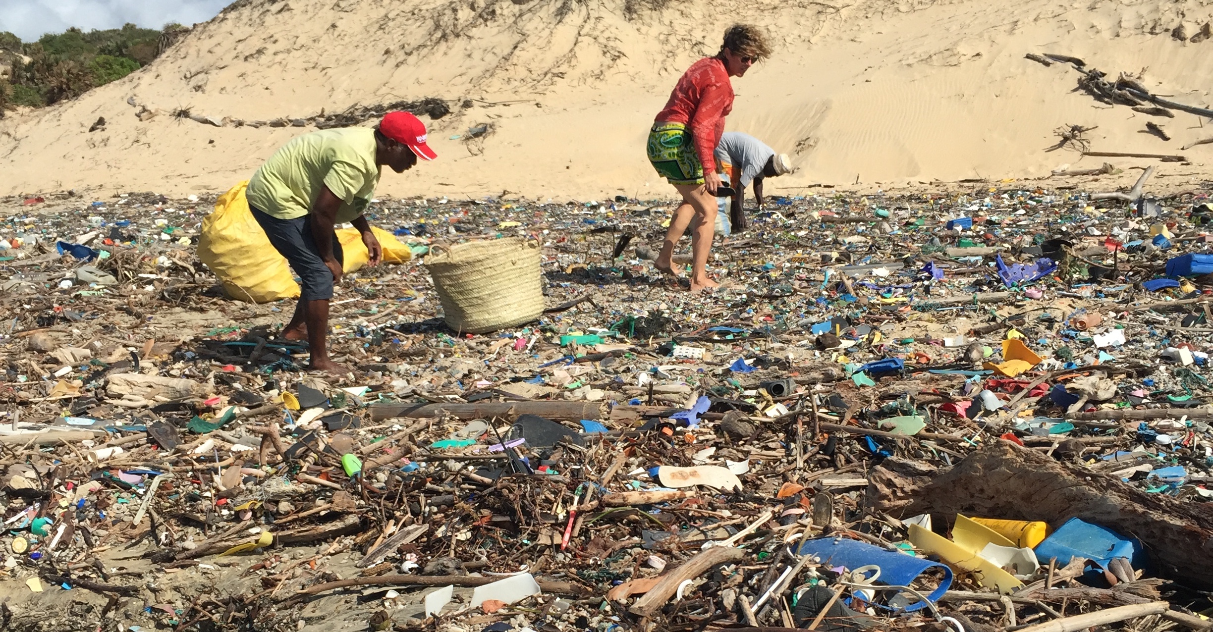 plastic waste on beach.png