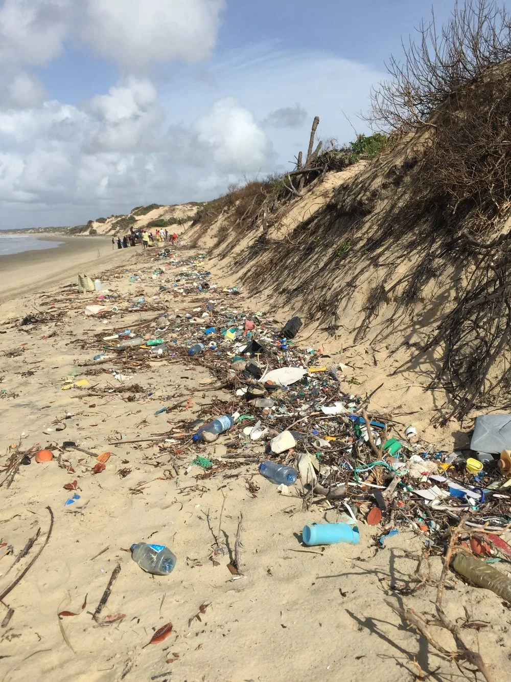0ab9c-shelabeachcleansep2016-image64.jpg