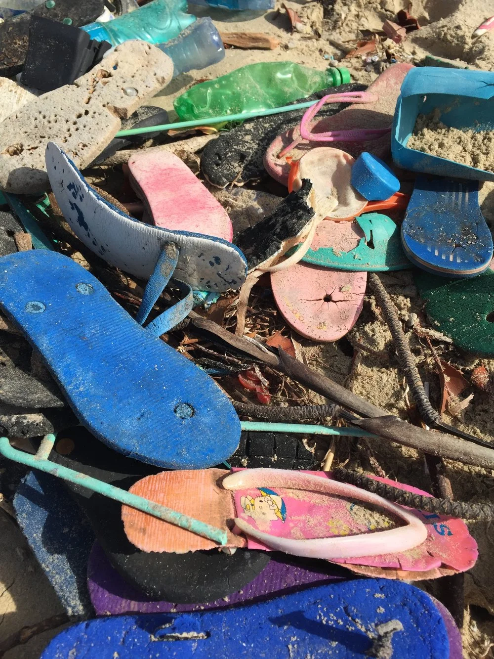 3c070-shelabeachcleansep2016-image89.jpg
