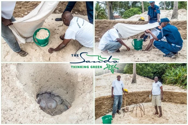 Diani’s Marine Conservation Education Centre