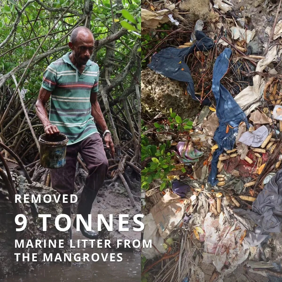 📣 UPDATE from our Siyu Pilot Project 

We are well underway in Siyu village with our waste management pilot project. In just 4 months we have managed to:

- Remove 9 tonnes of marine litter from the mangroves - no easy job! Clothing constitutes 59% 