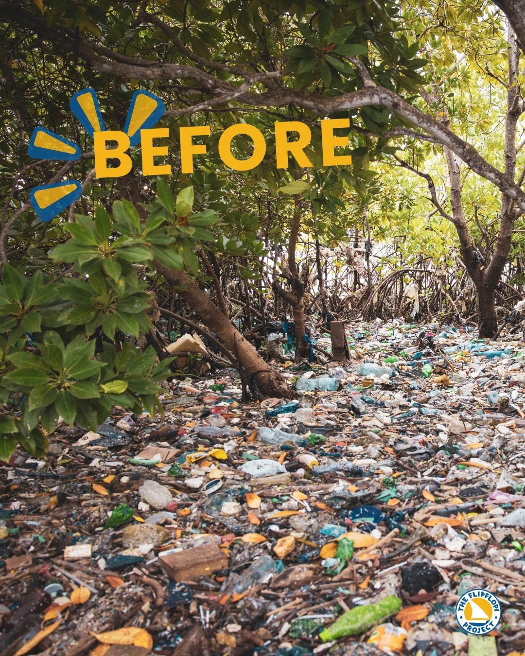 Before we began our clean-ups, Lamu&rsquo;s mangroves and beaches were overwhelmed by plastic waste. Thanks to our ongoing collections, we&rsquo;ve achieved a 60-fold reduction in plastic accumulation in these fragile ecosystems and a 22% decrease in
