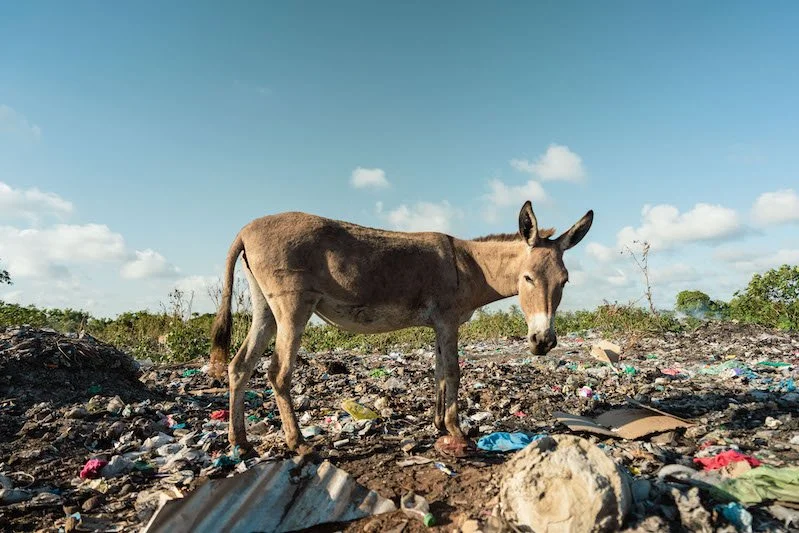 We see the reality of plastic pollution daily, and it&rsquo;s not just a challenge for the environment. But also for our community, our region and our continent.

It&rsquo;s the world&rsquo;s wealthiest nations and global conglomerates who drive the 
