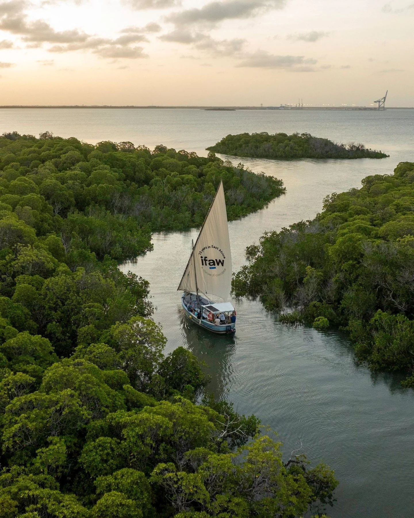 As we look to the future with our next 10-year vision; Monsoon Rising, we&rsquo;re proud to share our ongoing partnership with @ifawglobal, who have committed funding and support to our mission.

For the past 25 years, IFAW has been working across Ea