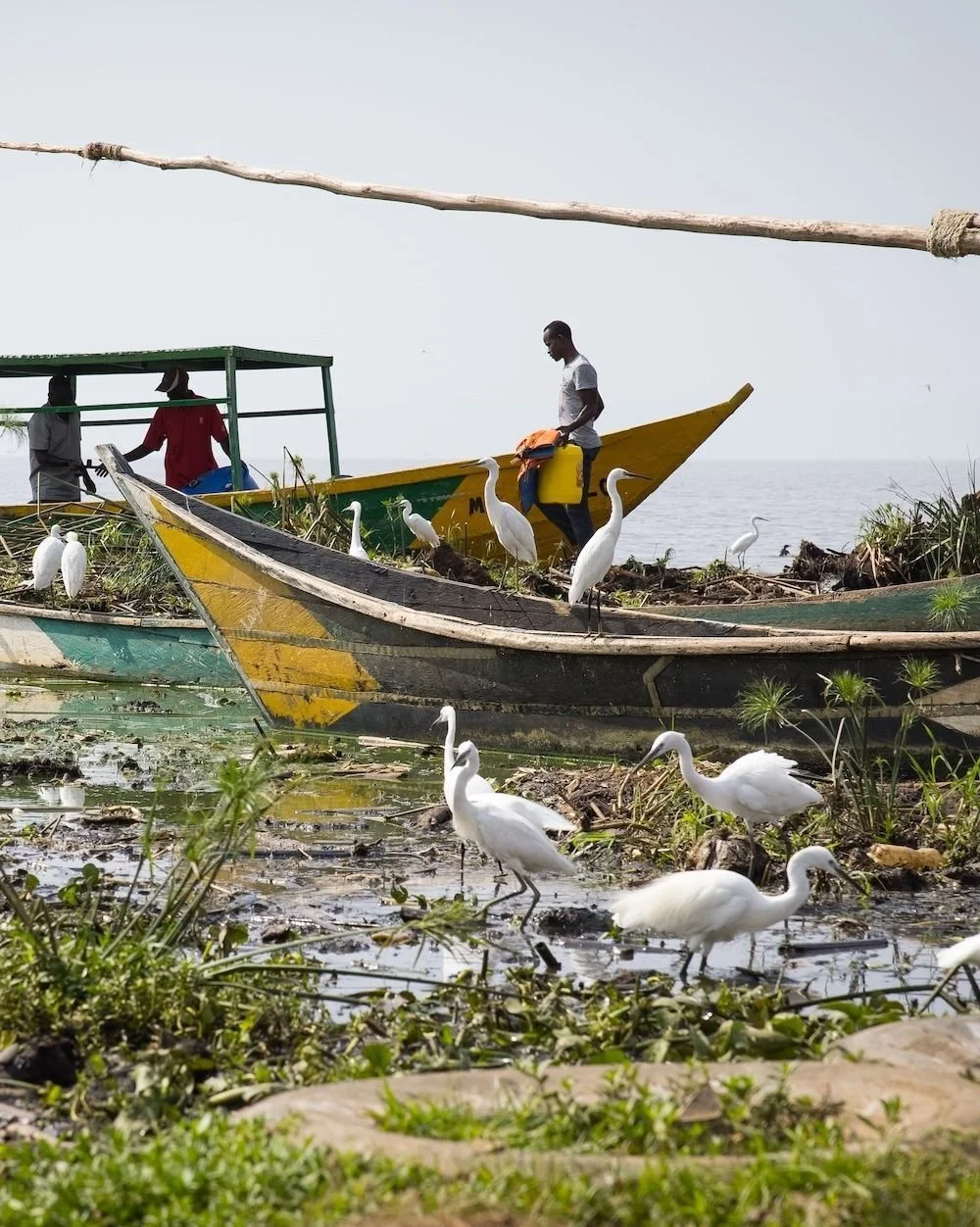 1 in 5 Nile perch in Lake Victoria contain plastics. 🐟

For every piece of plastic picked up on a Kenyan beach, the ocean tide brings in five more.

This is why a single country acting alone will never be enough. This is why we've spent a decade fig