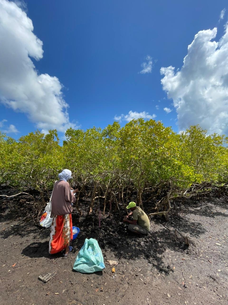 The team during field research on Pate island.