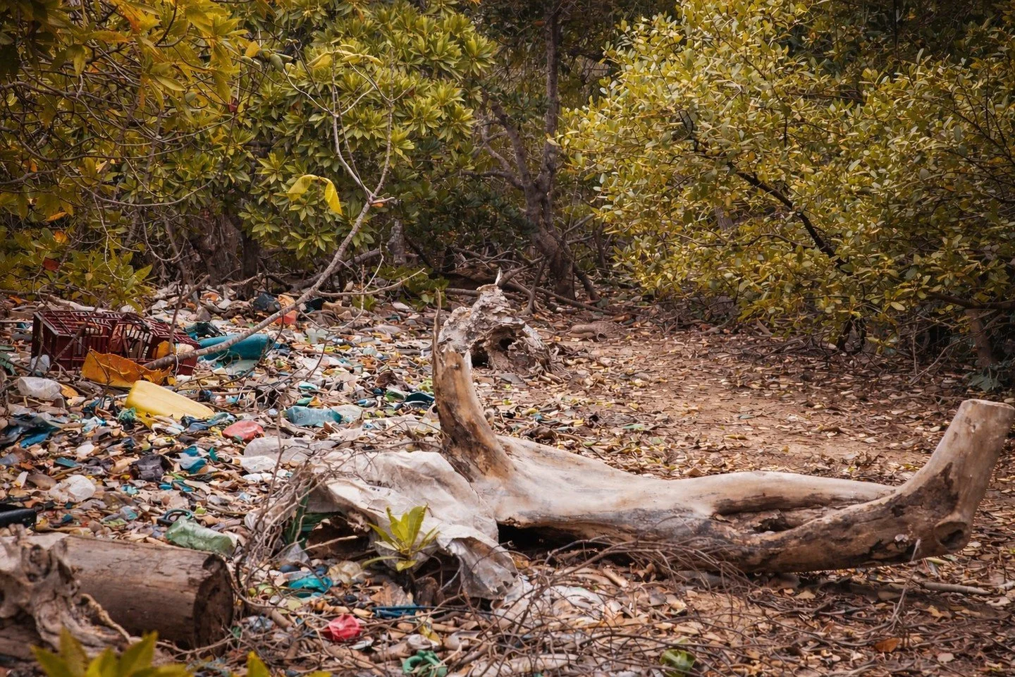 Lamu holds 68% of Kenya's mangrove forests.

Over 70% of the waste found inside them is textile waste.

These aren't separate facts. They're a warning. 

Our latest blog digs into the research that proves marine litter is an emerging threat to one of