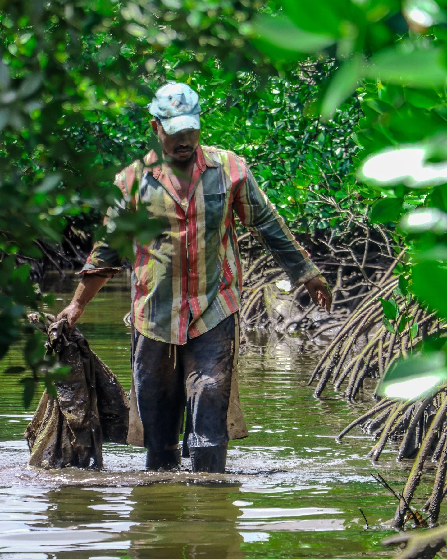 674 kg. Every week. For two years.

That's how much marine litter community teams have been removing from the mangroves of Pate Island as part of our @cmacgm project. And the results are showing up beyond the data local fishers and crab farmers are r