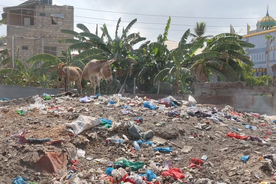 Last week we spoke about Kenya's Sustainable Waste Management Act (2022), now it's time for a conversation about it...

The act requires:
✅ Mandatory waste segregation at home
✅ Counties to have Material Recovery Facilities and sanitary landfills
✅ O