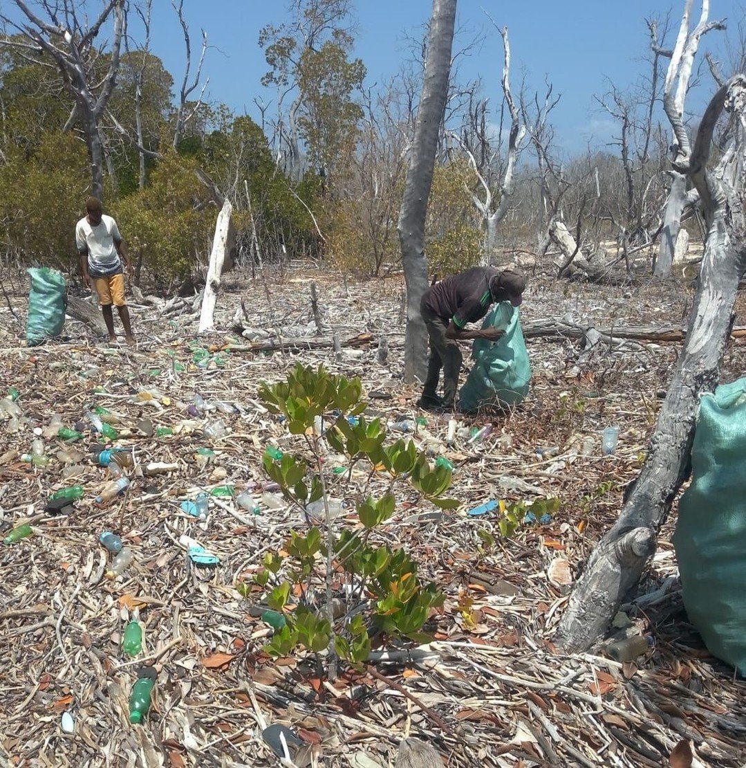 25 pieces of marine litter. Every day. Per 100 square metres.

That's the average accumulation rate we recorded across Pate Island's beaches and mangroves in our June 2025 marine litter survey &mdash; the first in a series of five we're running acros