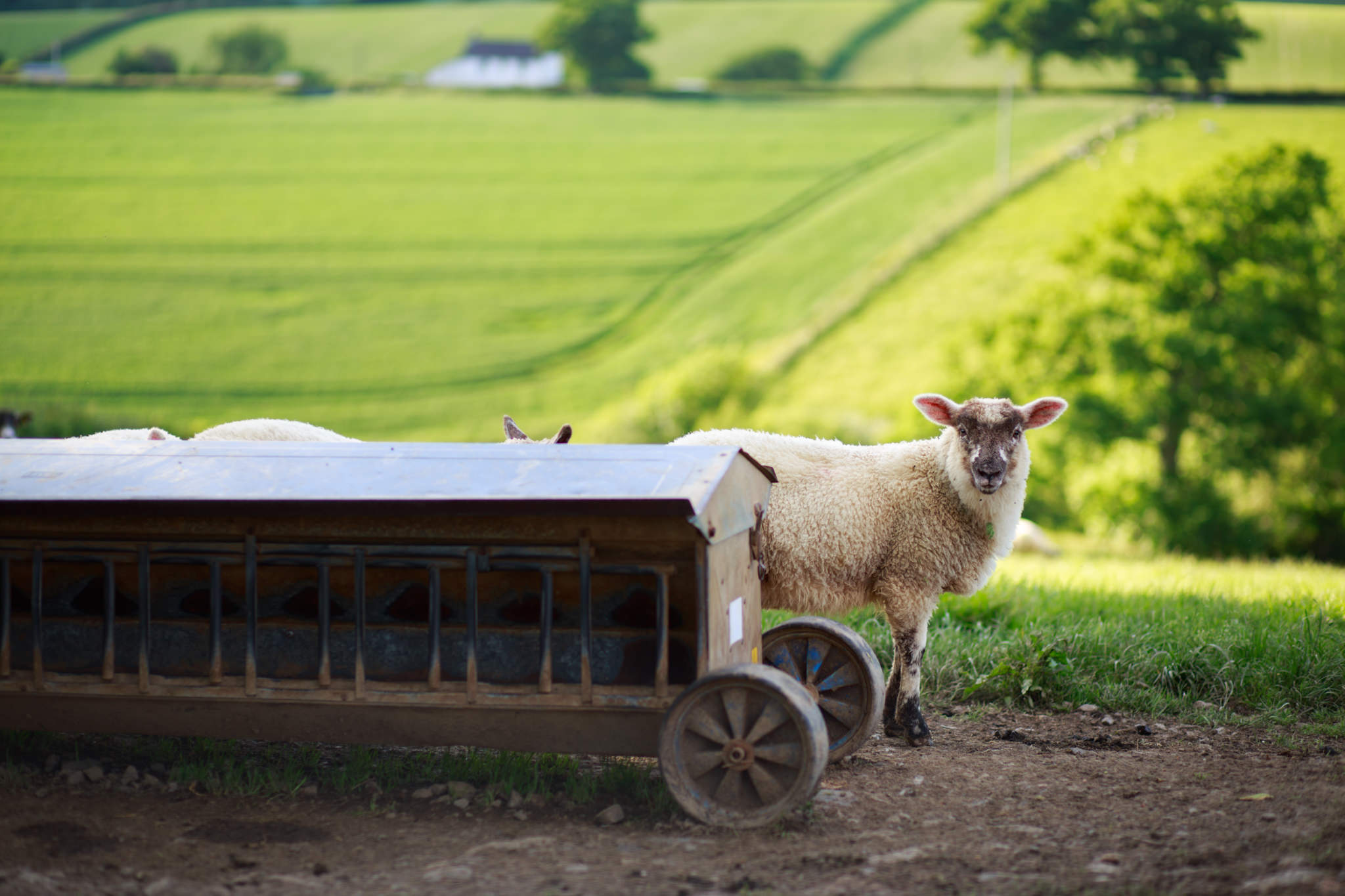 Higher eggbeer farm wedding photographer 025.jpg