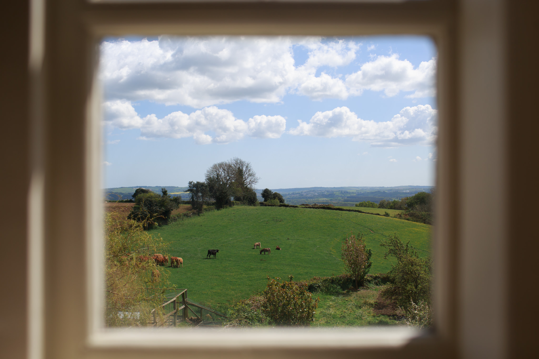 Dartmoor Wedding Photographer 004_.jpg