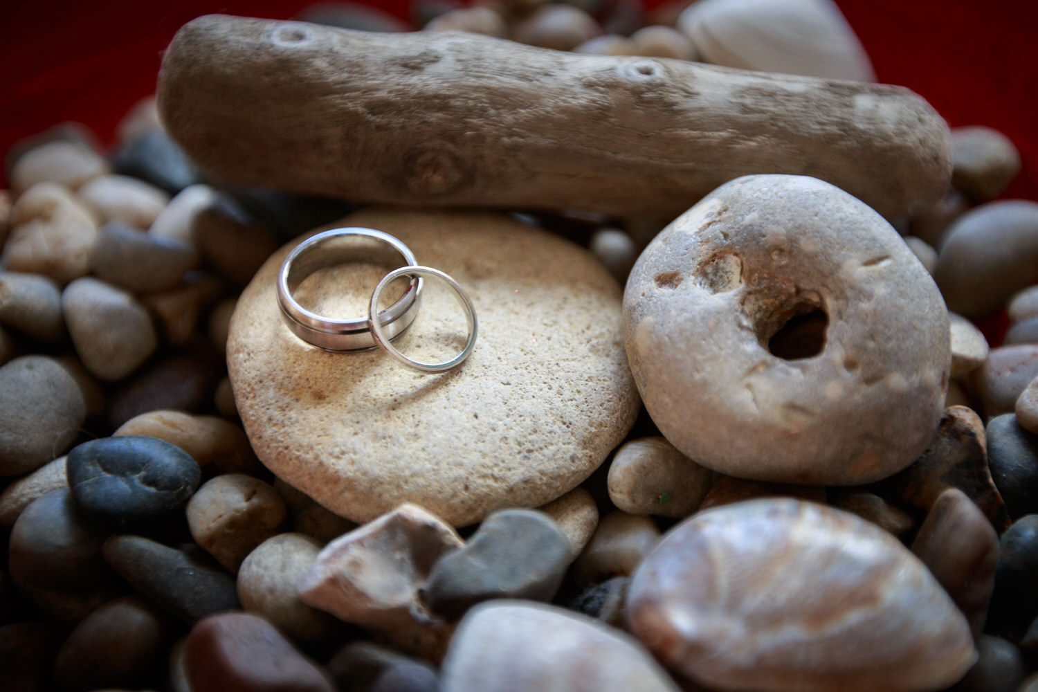 Wedding Photographer In Exeter 010_.jpg
