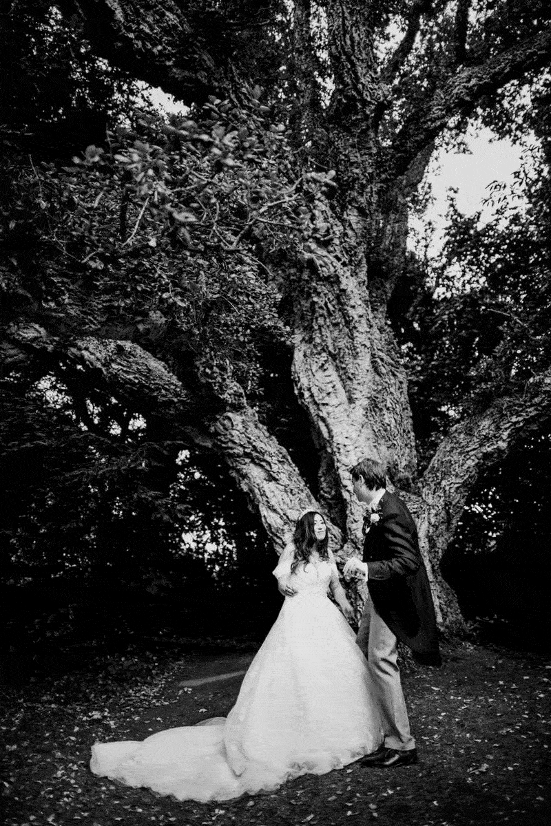 Colehayes Park Wedding Photographer 1.gif