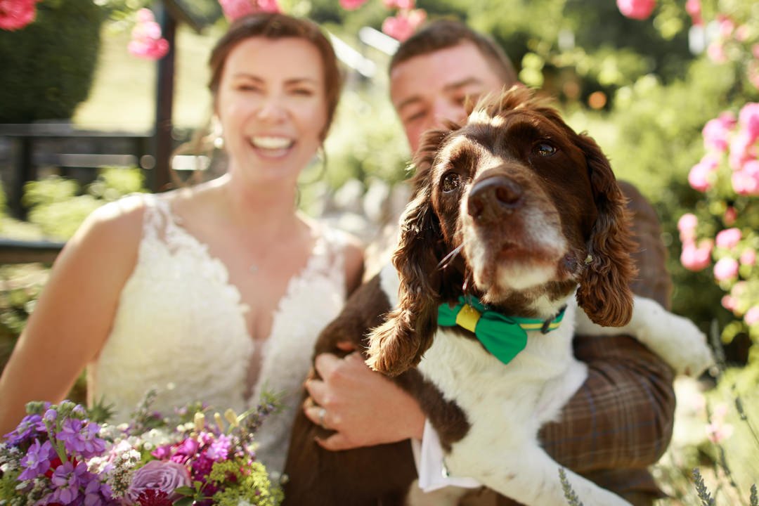 Wedding Doggo 001_.jpg