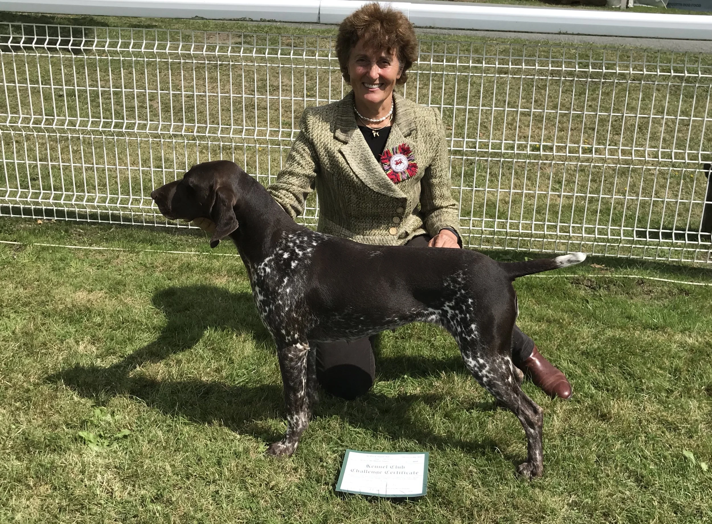 Ch Aytee Katerina at 2yo. Hip score 5 : 4= 9