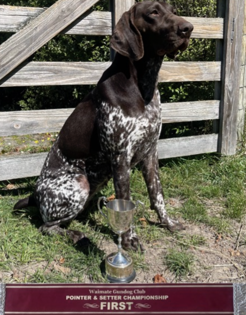 Screenshot 2026-03-15 at 14.57.36.png