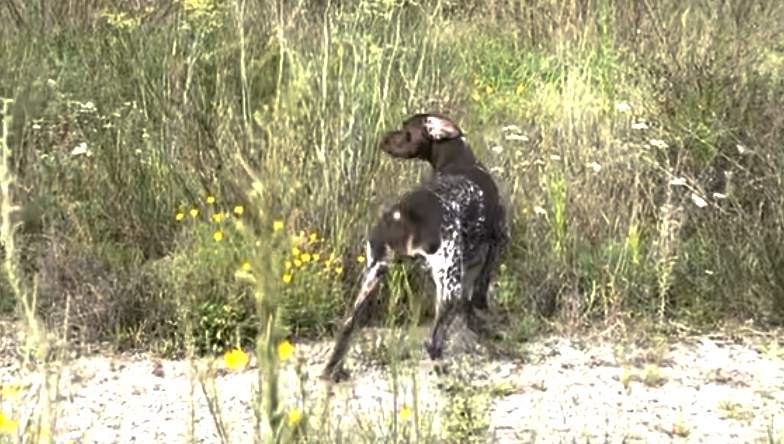 Screenshot 2026-03-04 at 10.59.13.png