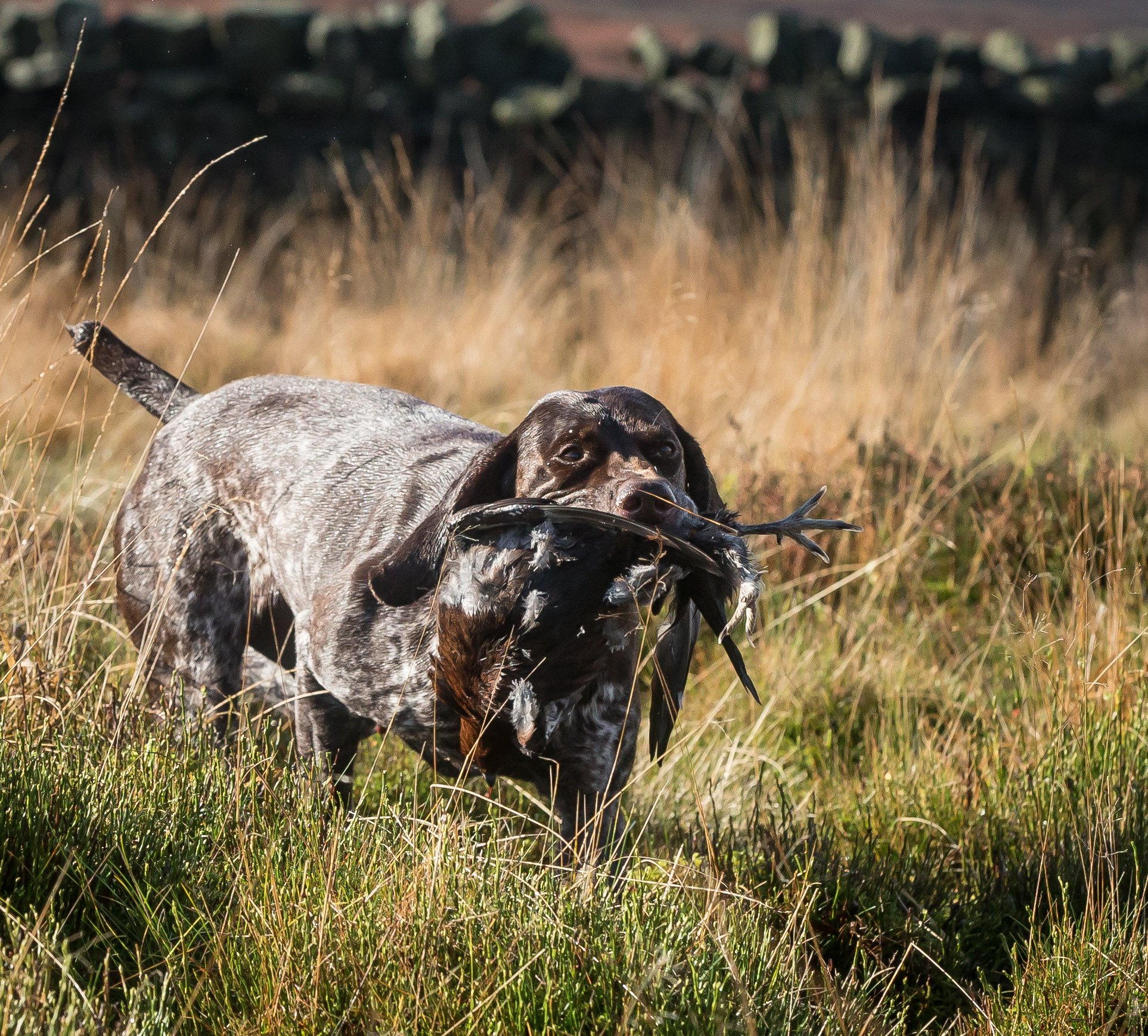 Andy Biggar Photography -1.jpg