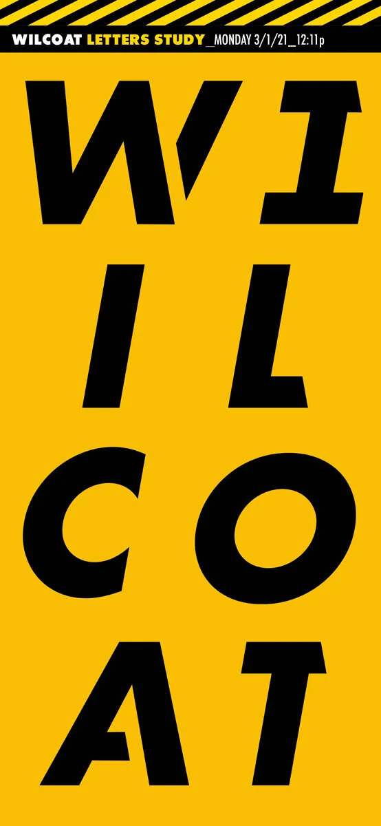 Wilcoatdelivery2-11.jpg