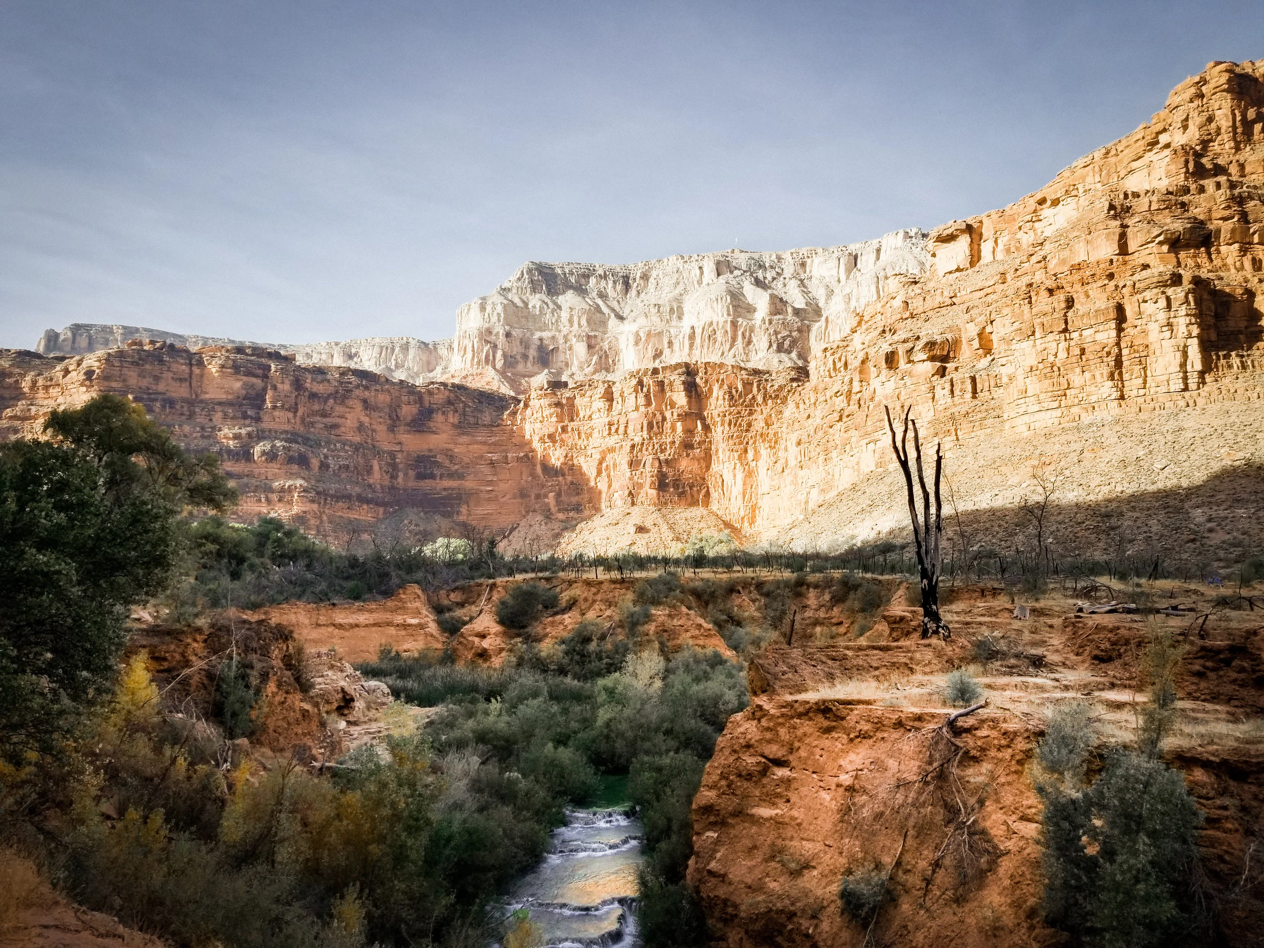 EDPMA Solutions 2019