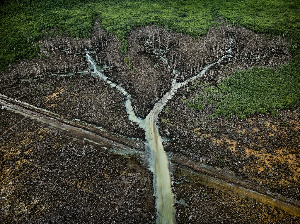 Oil Bunkering #2 Niger Delta, 2016