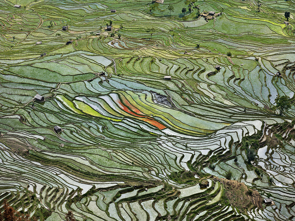 Rice Terraces #2 Western Yunnan Province, China, 2012
