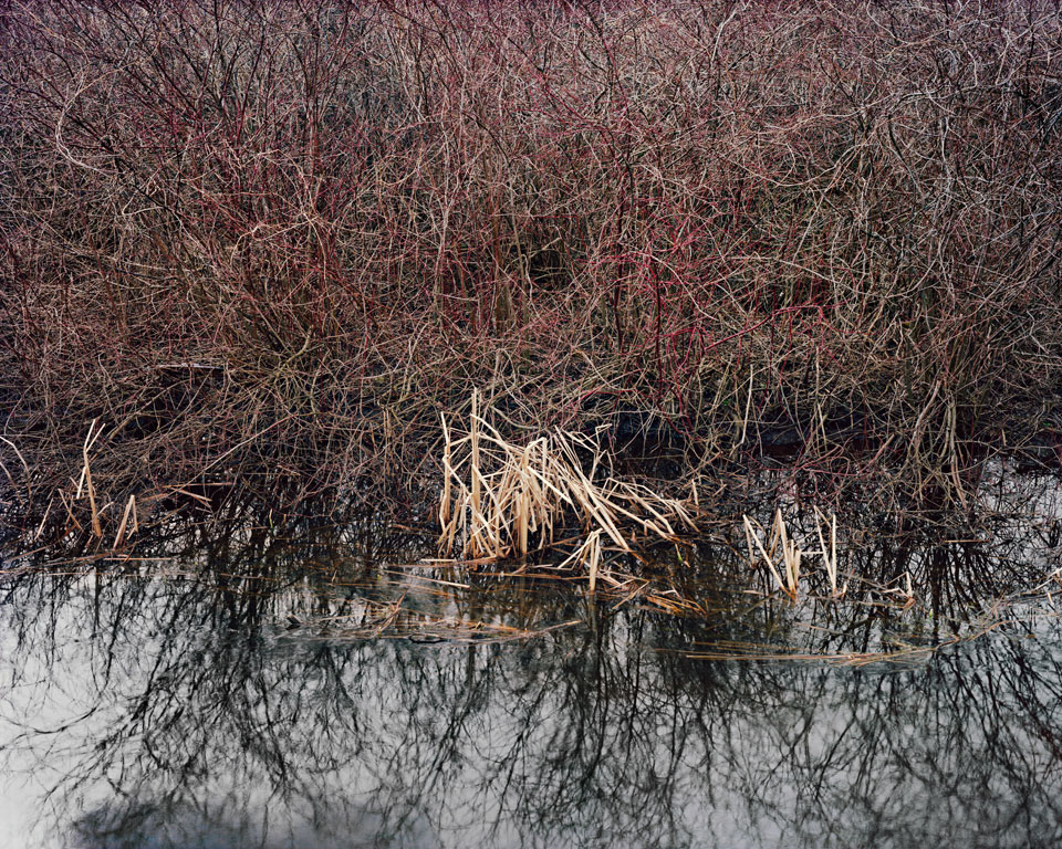 Landscape Study #4 Ontario, Canada, 1981