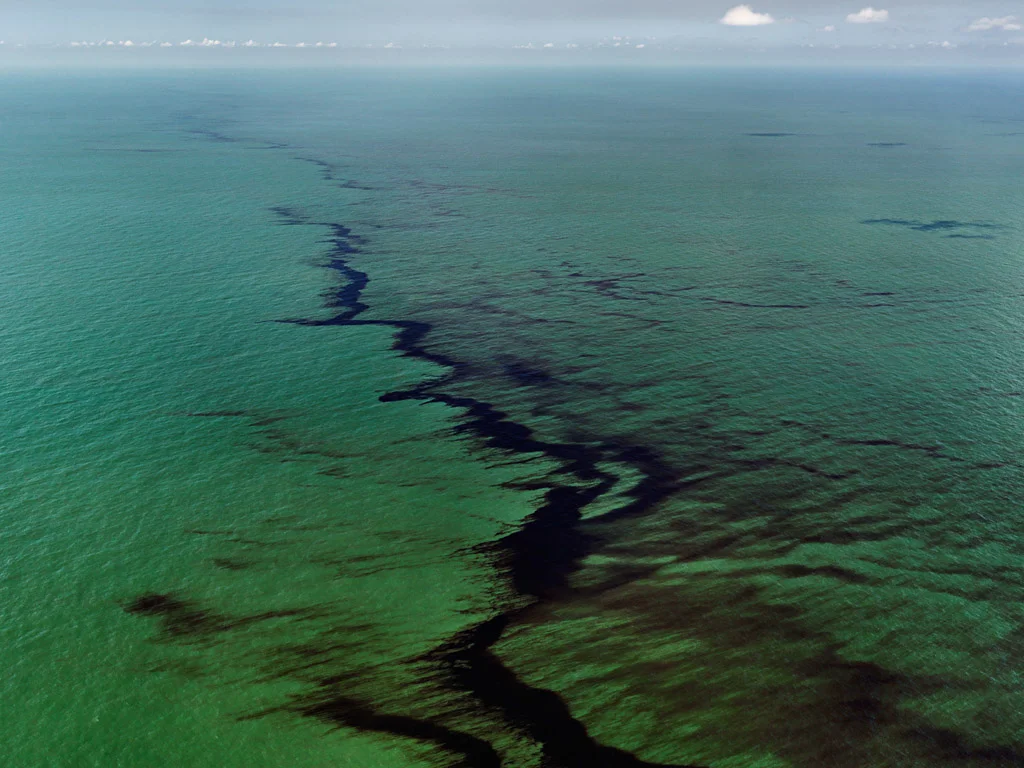 Nature's Nation: American Art and Environment