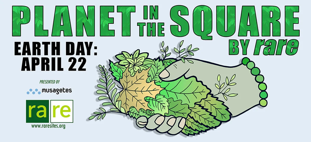 Planet in the Square