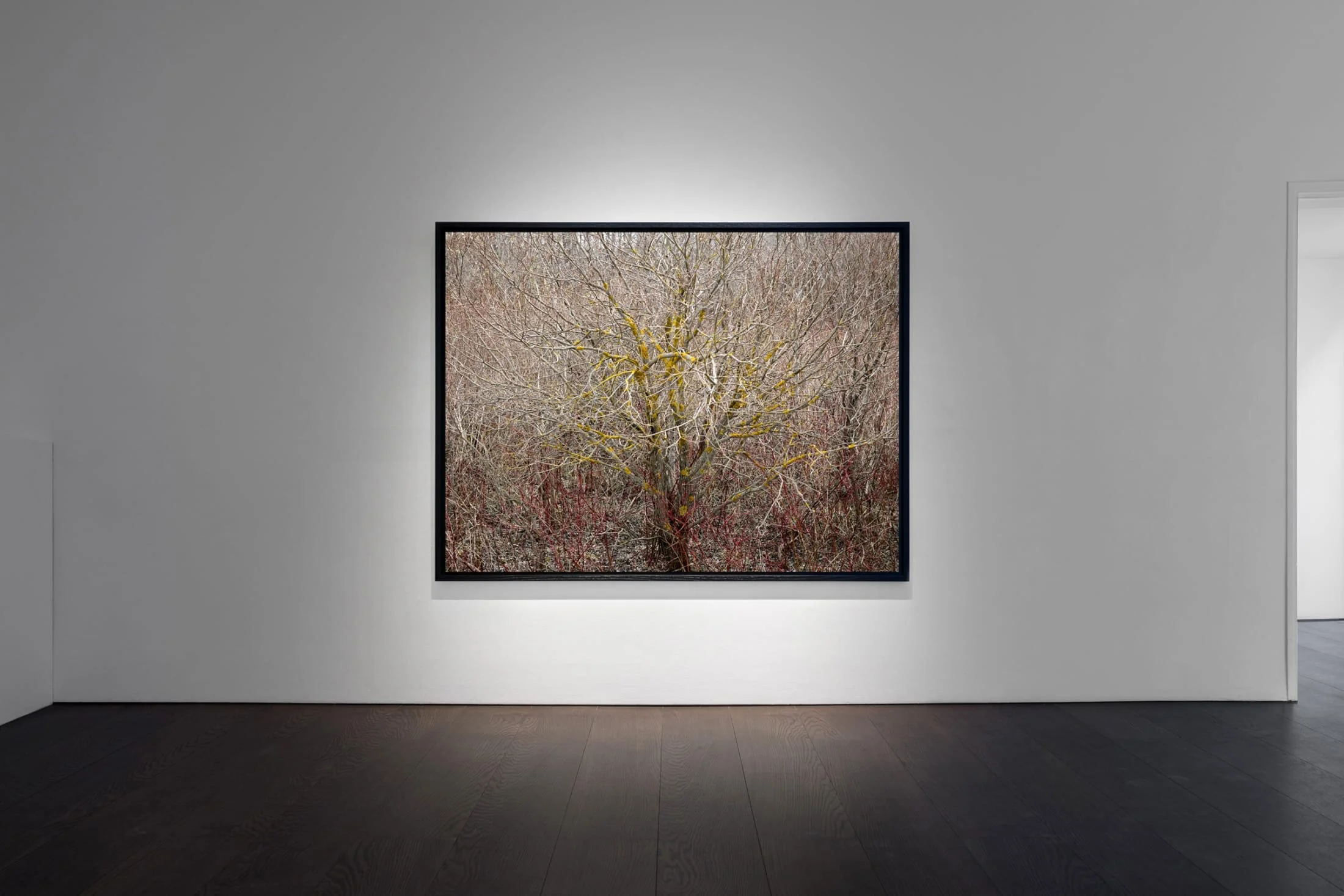 Edward Burtynsky: Natural Order
