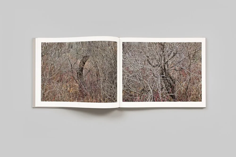 edward-burtynsky-natural-order-005.jpeg