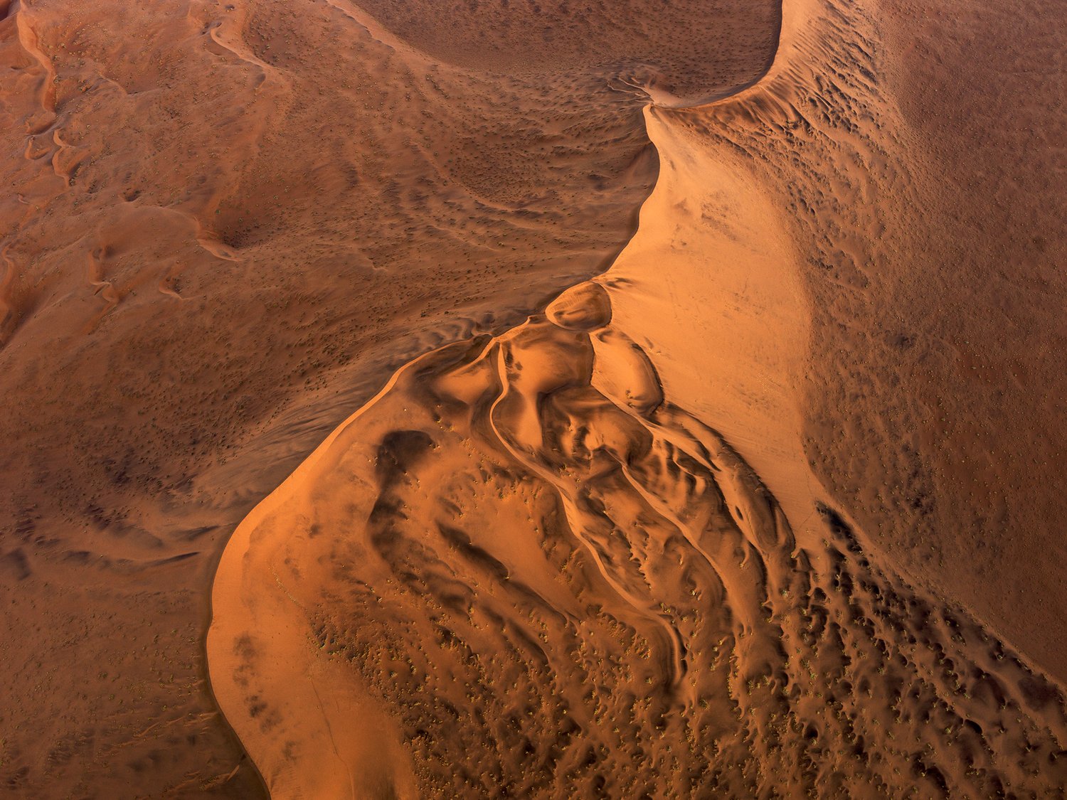 Edward Burtynsky  Oil Fields #27, Bakersfield, California (2004