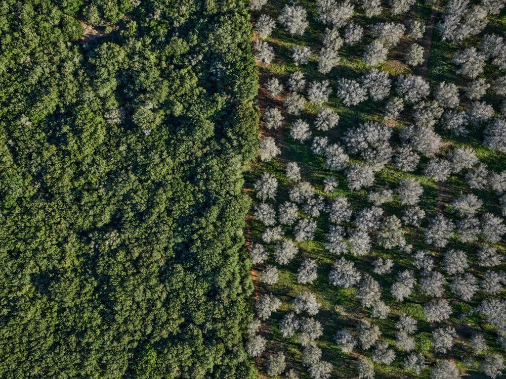 Edward Burtynsky: Earth Observed