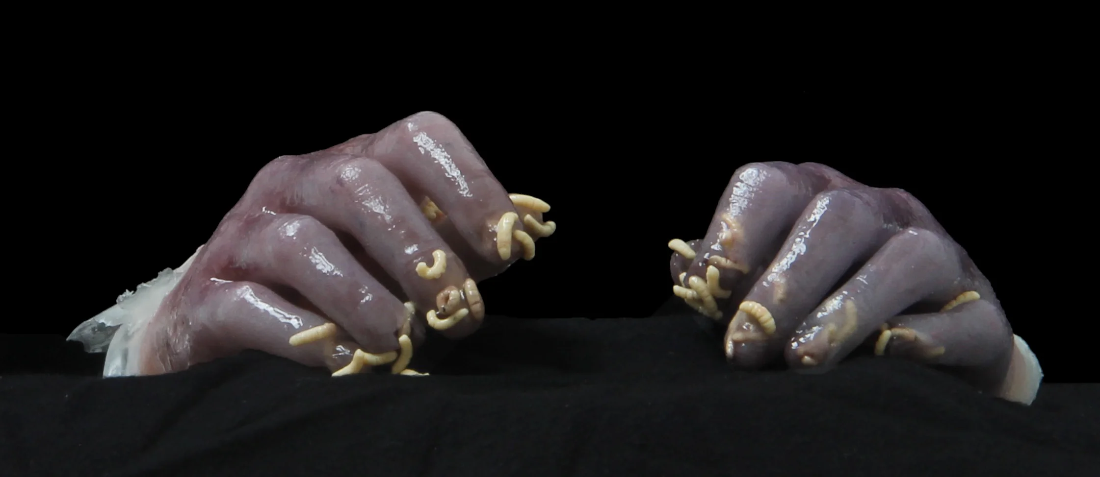 hands.jpg