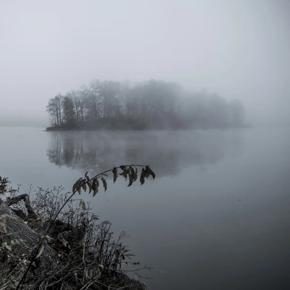 untitled-29web.jpg