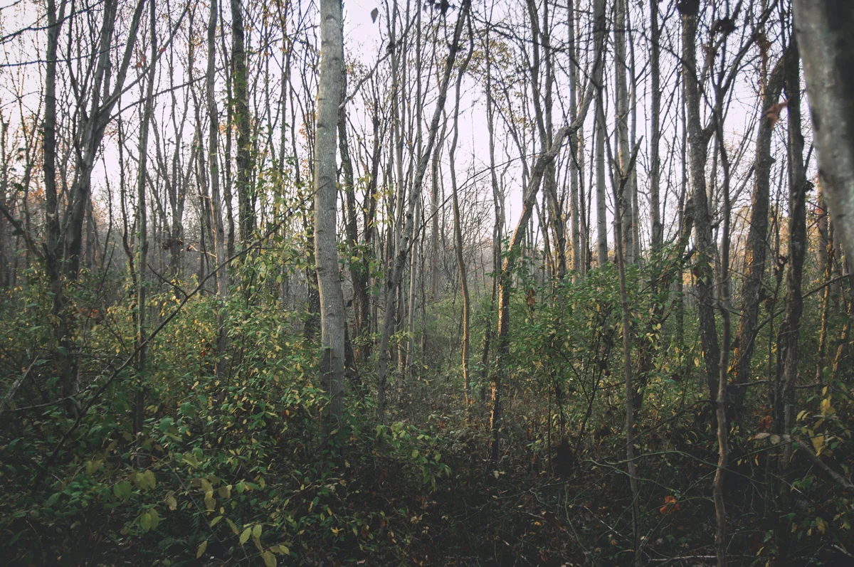 untitled-271-web.jpg