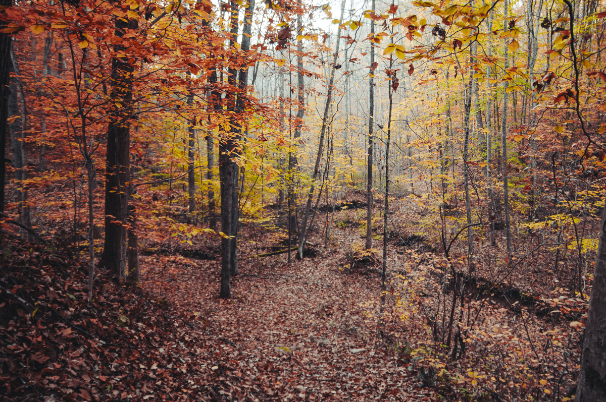 untitled-274web.jpg