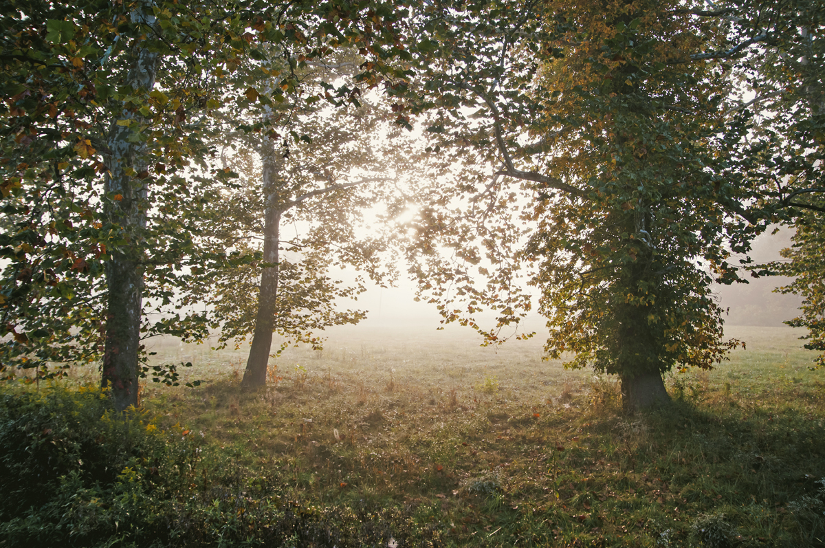 SLW_7814-922web.jpg