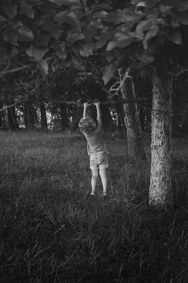 D3H_8110.jpg