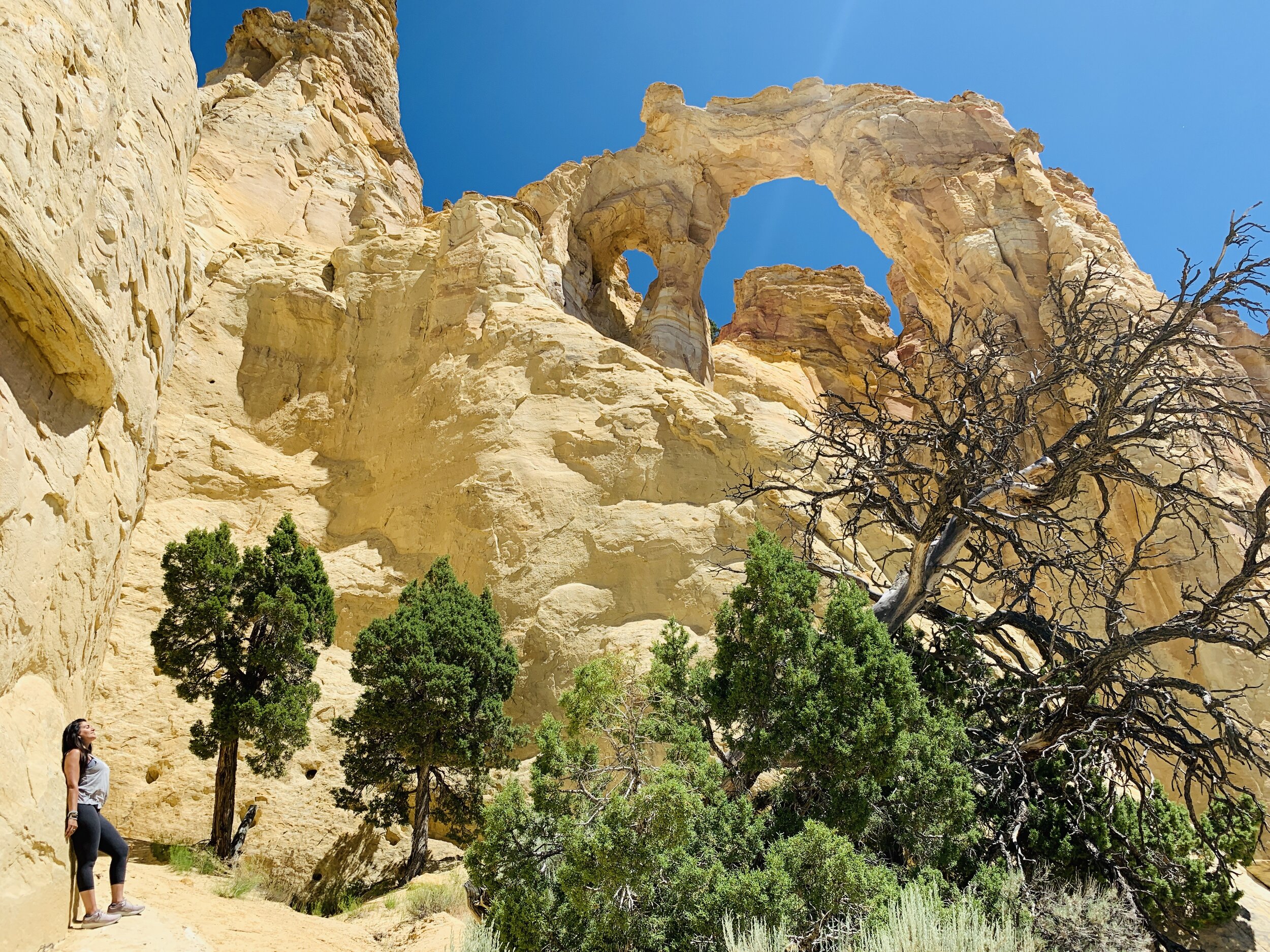 Growth is in the Air