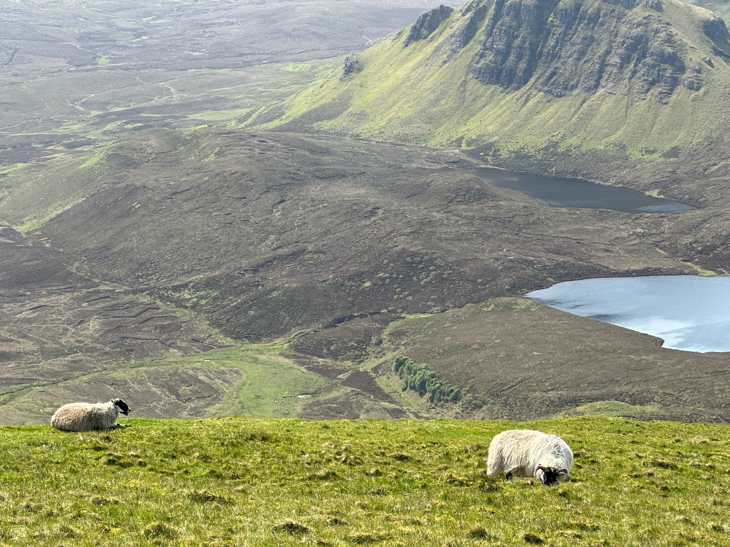 6526BC9F-2148-4D8B-995B-E24159F1F522